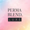 Encre maquillage permanent perma blend luxe