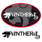 Lot 4 encres - Panthera - Tatouagenkit