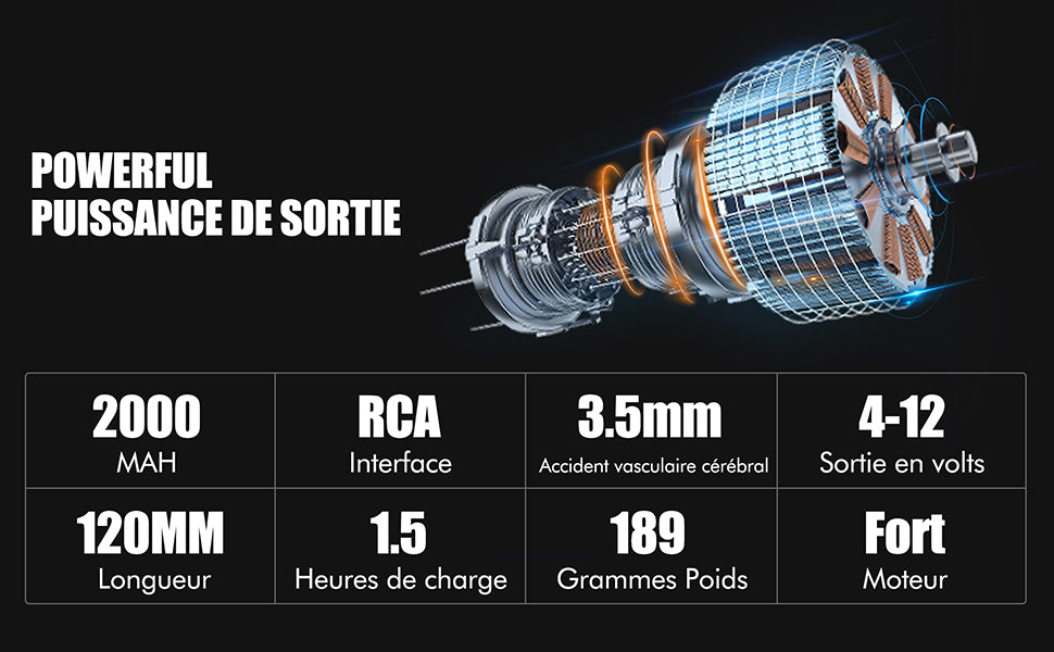 Ensemble machine tatouage PEN batterrie