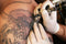 Encre noir Kuro Sumi Imperial - Imperial Outlining - Tatouagenkit